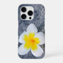 Search for frangipani iphone cases White