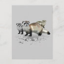 Search for weasels postcards Pet