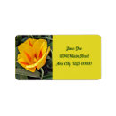 Search for happy flower return address labels Green