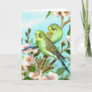 Search for budgie christmas cards Birds