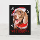 Search for weimaraner christmas cards Puppy