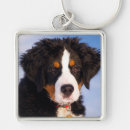 Search for bernese mountain dog key rings Dogs