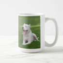 Search for argentinian mugs Dogo