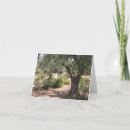 Search for olive tree cards Travel