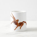Search for venom mugs Spider