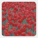 Search for cincinnati ohio stickers Usa