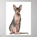 Search for sphynx cat art Animal