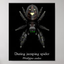 Search for jumping spider posters Arachnid