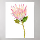 Search for protea decor Watercolor