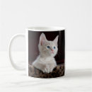 Search for pet photo cat mugs Picture