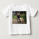 Search for french bulldog baby clothes Pet