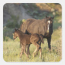 Search for theodor stickers Horse