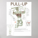 Search for pull posters Exercise