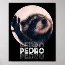 Search for meme posters America