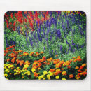 Search for marigolds electronics Botanical