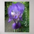 Search for iris posters Flowers