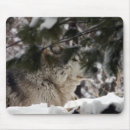 Search for wolf head mousepads Wildlife