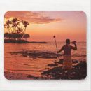 Search for big island mousepads Nature