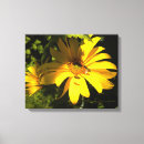 Search for bug canvas prints Floral