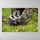 Search for captive posters Nobody