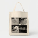 Search for fat bags Cat
