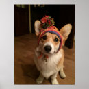 Search for welsh posters Dog