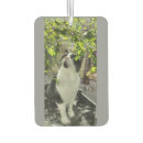 Search for black and white cat car accessories Cats