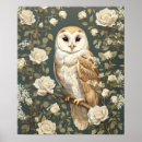Search for barn owl posters Roses