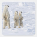 Search for manitoba stickers Winter