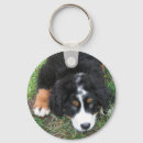 Search for bernese key rings Berner sennenhund