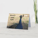 Search for unique graduation cards High school graduation