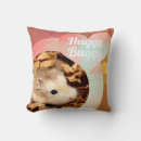 Search for hamster cushions Adorable