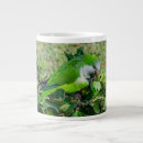 Search for parrot mugs Animal