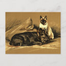 Search for vintage dog photos postcards Victorian