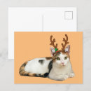 Search for cute reindeer postcards Cat