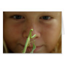 Search for mantids cards Funny