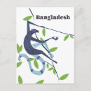 Search for bangladesh postcards Retro