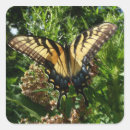 Search for swallowtail stickers Beautiful