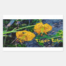 Search for tiger lily stickers Orange