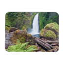 Search for columbia magnets Landscape