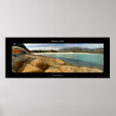 Search for stingray art Island