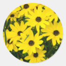 Search for bright yellow flower stickers Garden