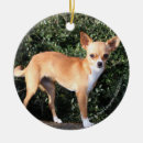 Search for teacup christmas tree decorations Dog