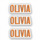 Search for vinyl name stickers Gift