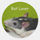 Search for rat lovers stickers Rodent