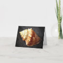 Search for sea shell cards Florida