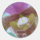 Search for orchid wedding stickers Pink