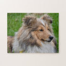Search for sheltie puzzles Animal