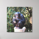 Search for chimps art Primate