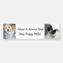 Search for adopt a dog bumper stickers Rescue